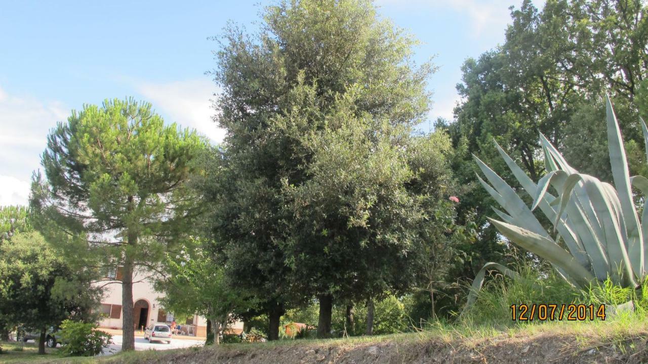 Locanda San Marino Al Coppo Monte Grimano Terme Exterior foto